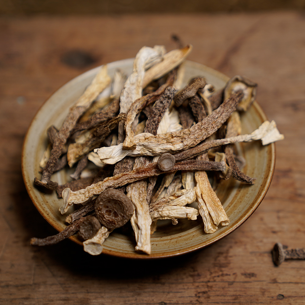 海伶山珍 | 鹿茸菇干货100g 包邮鹿茸菌特产鹿茸菇煲汤食材食用菌