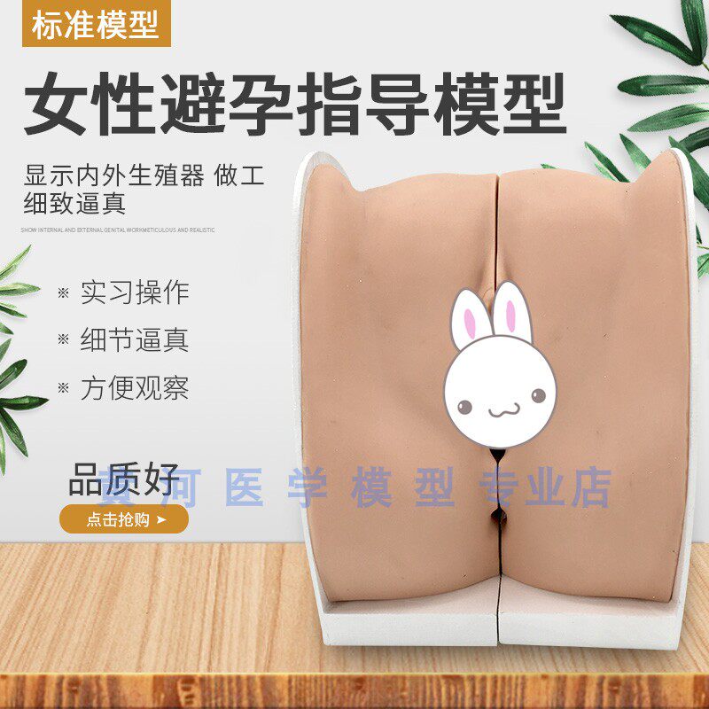 女性避孕器指导 避孕模型 女性内外生殖 上环取S环练习医学生护士
