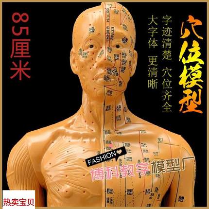 中医针灸穴位图i人体模型教学85男全身十二经络小皮人针灸穴位模