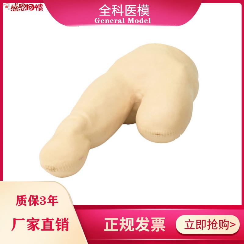 低位包扎模型腿部下肢截肢病B人三角巾包裹训练教学假人体模具LV1