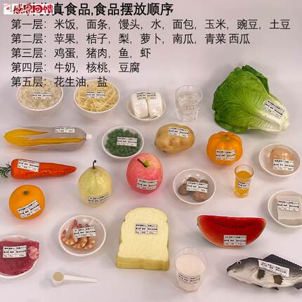 中国居民均衡营养膳食宝塔模型 2022版营养食E物模型 彷真食