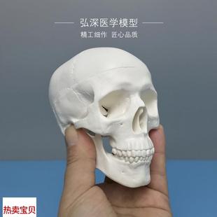 人体头骨模型缩i小型号迷你可拆卸骷髅头美术素描画道具医学生教