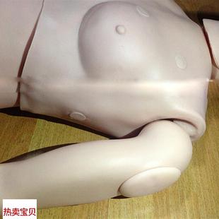带螺丝固定护理实习模型 高级基础护理假人急救训练模型F
