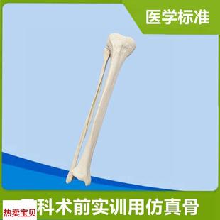 小腿骨模型医用仿真骨术前练习固定骨髓腔松质骨下U肢1比1假骨头
