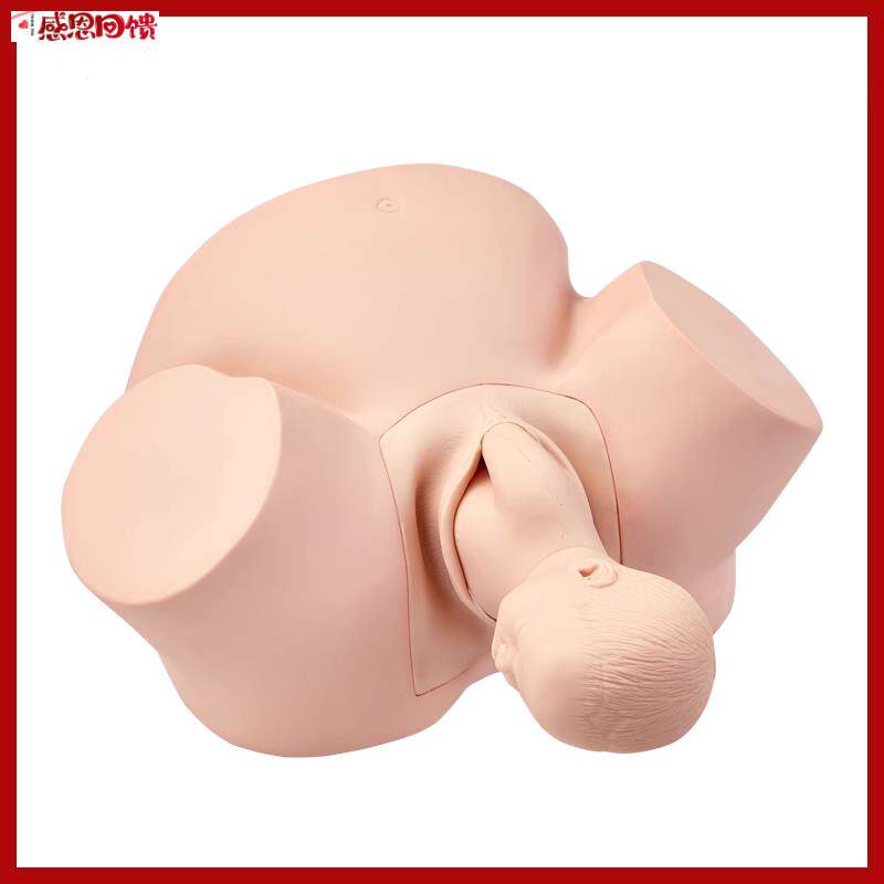 高级助产训练模型 女性孕妇助产分娩模型s 妇科接生分娩训练模