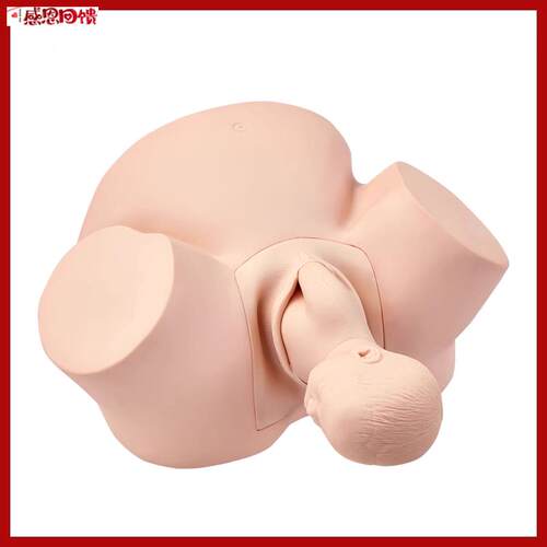 高级助产训练模型 女性孕妇助产分娩模型s 妇科接生分娩训练模