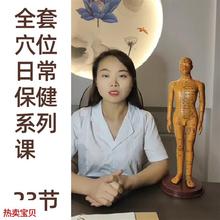 中医教学教程日l常保健经络针灸模型相关理论视频课系列课