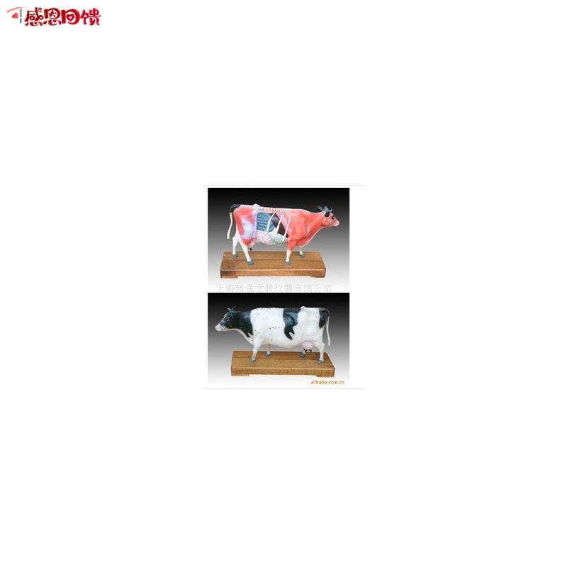 牛体针灸模型(在庞大s的牛身试针还不如先在模型上试针