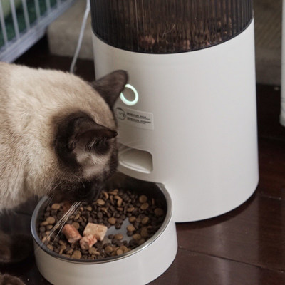 新品鸟语花香mini智能自动喂食器猫咪狗狗猫粮狗粮定时定量宠物投