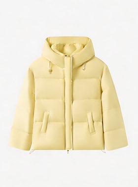 【大潘专属】轻盈质感简约氛围感冬季羽绒服外套/83035