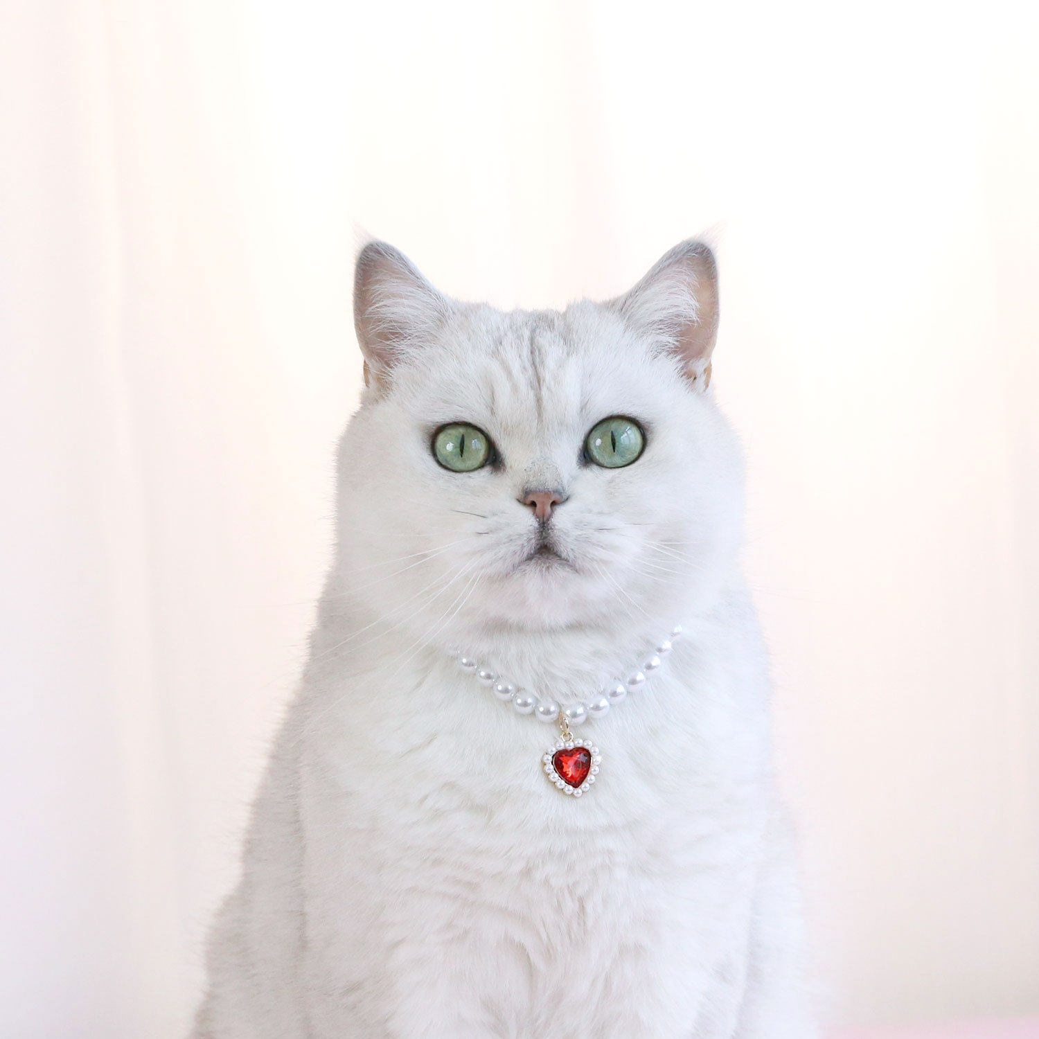 彩色爱心镶钻宠物珍珠项链 猫狗颈项链猫咪狗狗精致饰品厂家