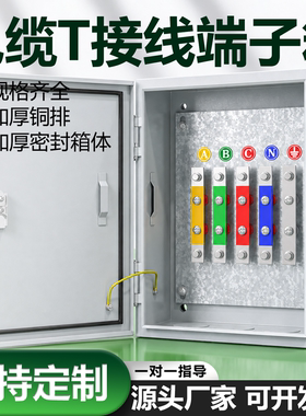矿物质电缆T接箱低压分支箱