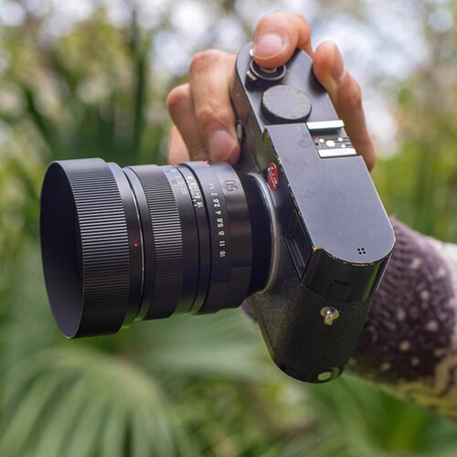 咻忐咻忑50mmF1.4M口人文镜头
