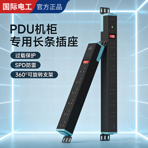国际电工PDU柜机电源专用插座