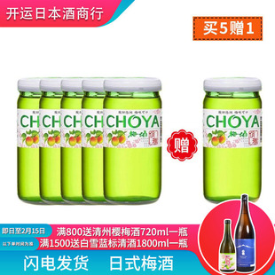 蝶失青梅子酒果酒女生士甜酒微醺特价 俏雅梅酒160ml日式 5送1