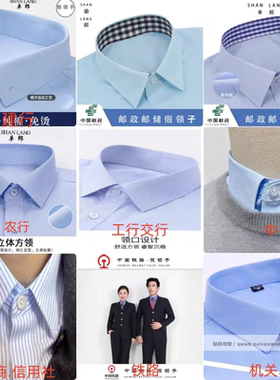银行休闲假领子男女通用建行农商农行衬衫衣领百搭西服毛衣装饰领