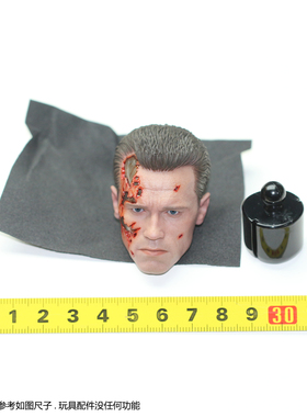 HT  HOTTOYS 1/6 DX46 终结者2审判日 T-800 战损版2.0 头雕 配件