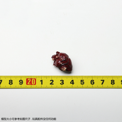 HT 1/6 MMS767 甲壳虫汁 阴间大法师 可动人偶 兵人偶 心脏 配件