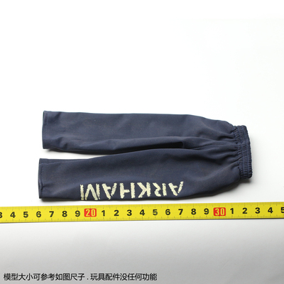 HT Hottoys 自杀小队 MMS373 阿甘疯人院 裤子 小丑 Joker 配件