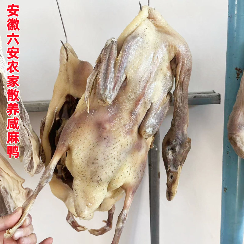 大别山安徽六安农家咸土麻鸭