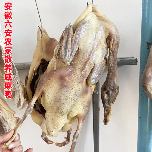 大别山安徽六安农家咸土麻鸭