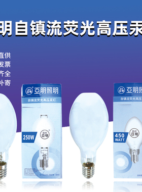 亚明自镇流荧光高压汞灯125W/160W/250W/450W自贡灯GYZ/GGY