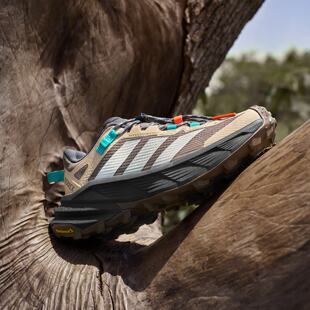 Adidas JP6866 阿迪达斯男女低帮运动休闲户外登山徒步鞋