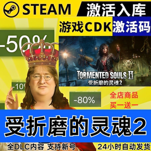 Steam正版 受折磨的灵魂2 全球区激活码CDKEY 全DLC 现货秒发