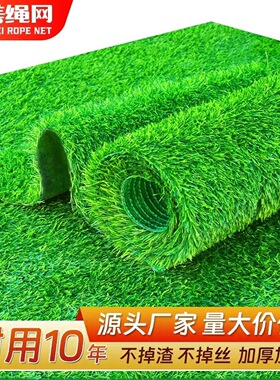 仿真草坪地毯人工假草皮户外铺垫人造塑料草绿色围挡足球场幼儿园