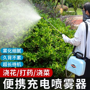 充电式电动喷壶家用洗车抽水园艺浇花洒水枪消毒打药喷雾器带水桶