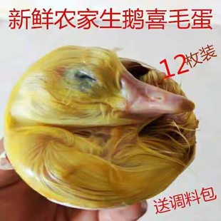 生鹅毛蛋鹅喜蛋胎鹅蛋毛蛋12个非活珠子鹅胚蛋去胎毒毛鹅蛋