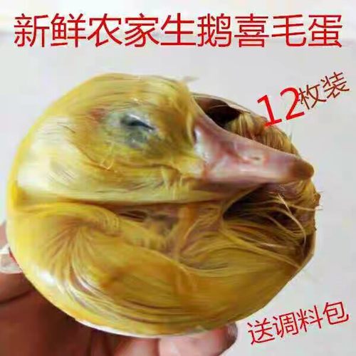 生鹅毛蛋鹅喜蛋胎鹅蛋毛蛋12个非活珠子鹅胚蛋去胎毒毛鹅蛋