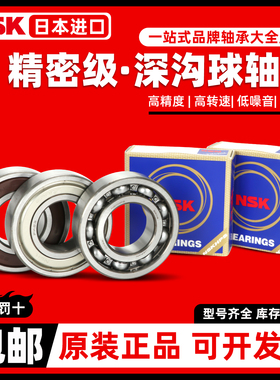 进口SKF NSK轴承6200 6201 6202 6203 6204 6205 62062Z 2RS1 DDU