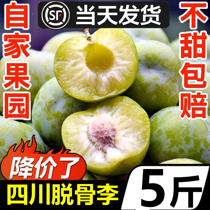 四川脆甜脱骨李5斤新鲜水果应当季孕妇青脆李子酸甜李脱骨李整箱3