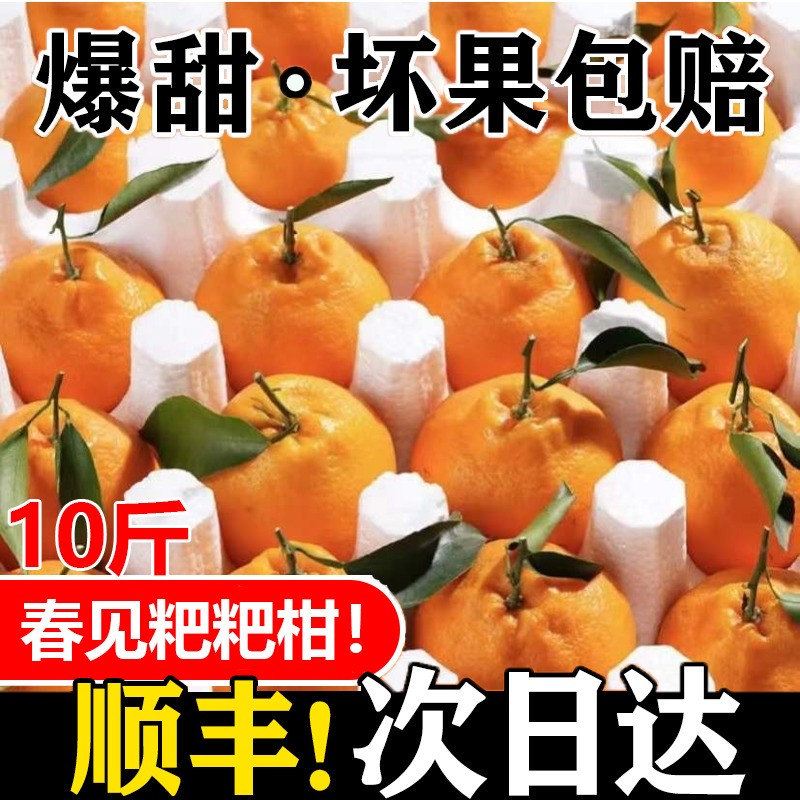 眉山粑粑柑春见当季现摘现发