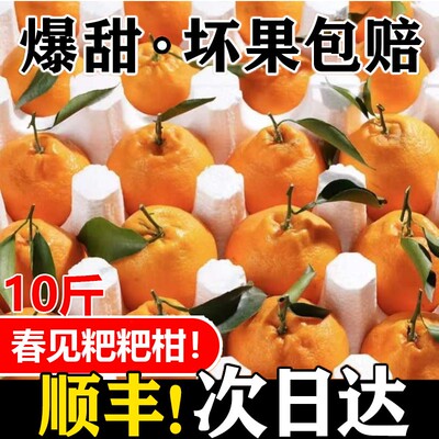 眉山粑粑柑春见当季现摘现发