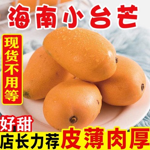 海南小台农芒果新鲜10斤水果当季整箱包邮热带特产大果正宗小台芒