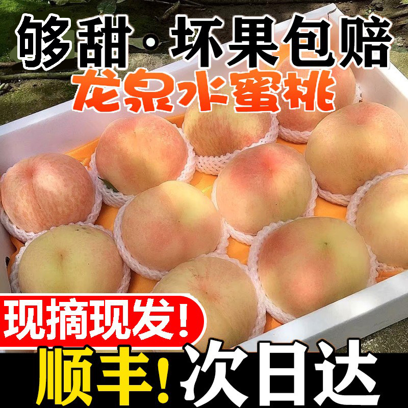 龙泉水蜜桃现摘新鲜当季