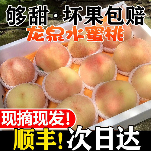 龙泉水蜜桃现摘新鲜当季