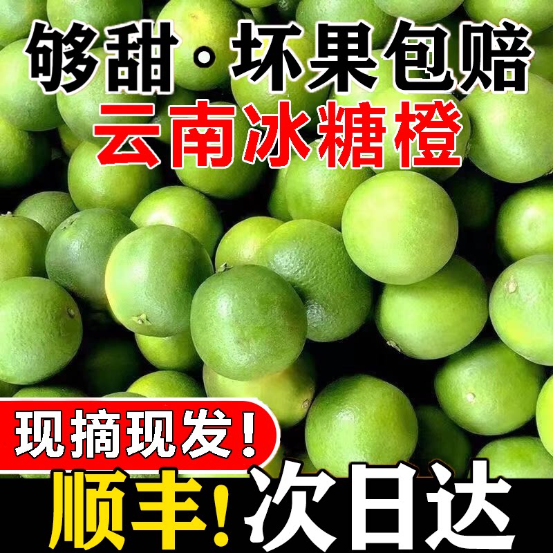 新鲜当季应季现摘现发