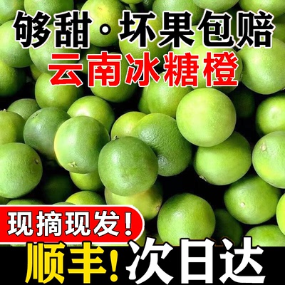 新鲜当季应季现摘现发