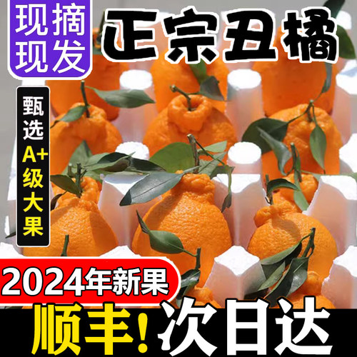 丑橘新鲜当季现摘现发