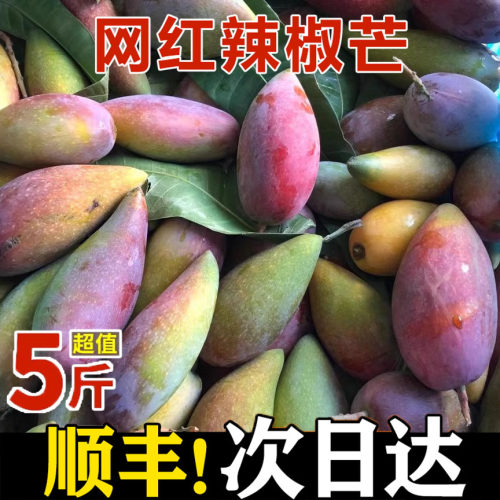 海南辣椒芒芒果新鲜现摘