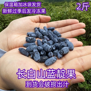 东北长白山蓝靛果新鲜冷冻黑瞎山茄子2斤羊奶子果花青素1斤非蓝莓