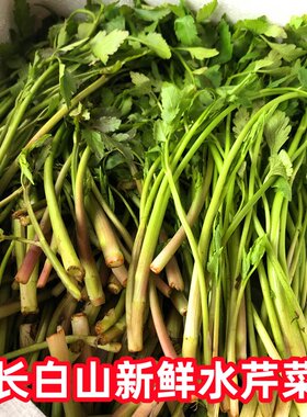 东北新鲜山野菜水芹菜