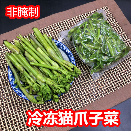 东北山野菜猫爪子菜新鲜