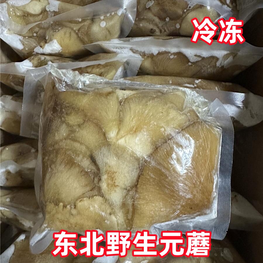 元蘑菇东北特产长白山野生冻蘑菇新鲜冷冻非腌制不加盐包邮