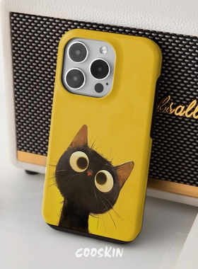 COOSKIN 二合一韩国菲林iPhone17ProMax黑色猫咪可爱圆边16硬壳呆萌适用苹果15plus全包苹果14 Pro防摔手机壳