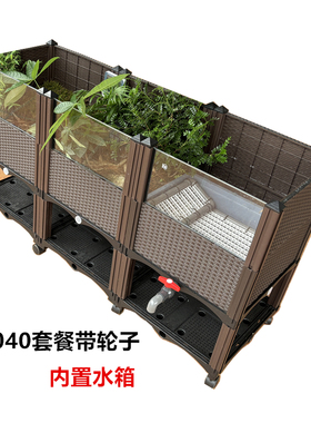 【缘友之家】黄缘龟专用缸 黄缘闭壳龟生态饲养殖箱 半水陆龟环境
