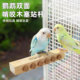 鹦鹉站杆鸟用休息站台啃咬磨爪站架发泄解闷自嗨益智玩耍鸟笼站杠